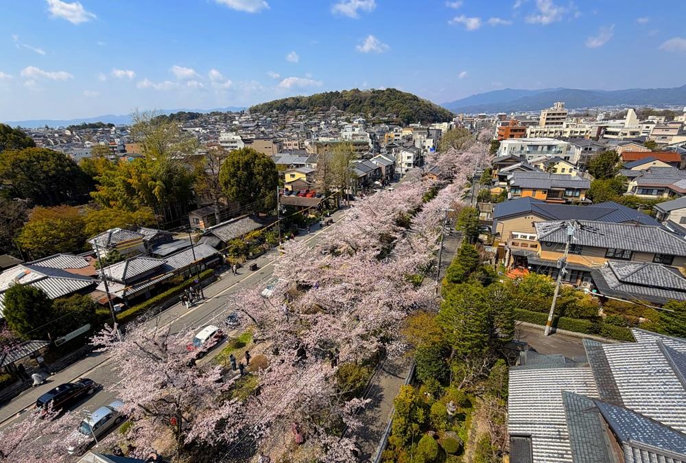 京都市左京区銀閣寺前町の賃貸物件/見下ろすとこの風景（オーナー提供写真）