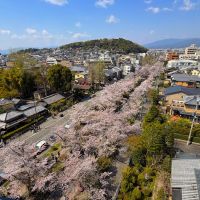 京都市左京区銀閣寺前町の賃貸物件/見下ろすとこの風景（オーナー提供写真）