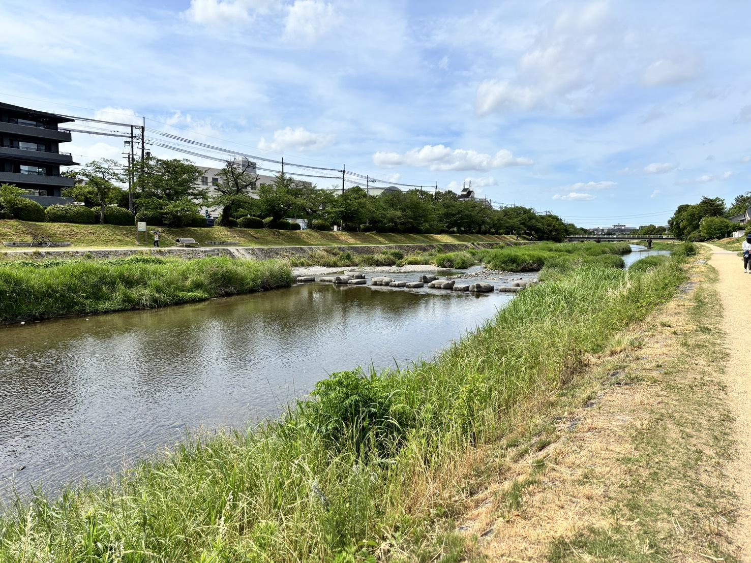京都市左京区下鴨蓼倉町84-50の売買物件/この景色が日常になるんです