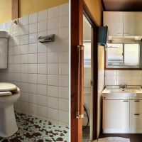 京都市左京区下鴨蓼倉町84-50の売買物件/1F｜昭和らしい玉石タイルのトイレと洗面台