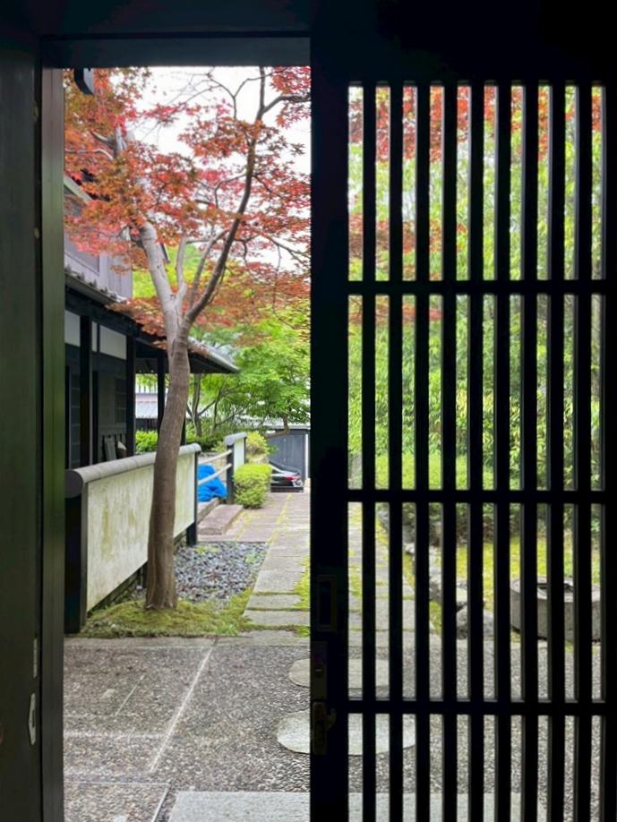 京都市右京区嵯峨鳥居本小坂町の売買物件/店舗内から見るアプローチ。この紅葉は春でも紅葉が楽しむことが出来る