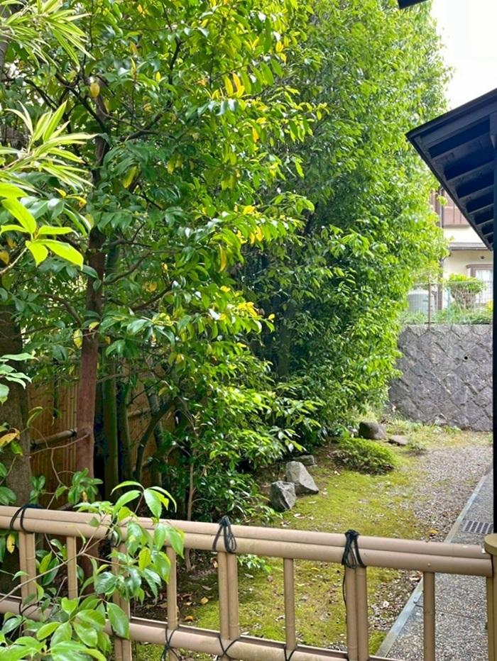 京都市右京区嵯峨鳥居本小坂町の売買物件/南側庭