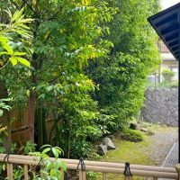 京都市右京区嵯峨鳥居本小坂町の売買物件/南側庭