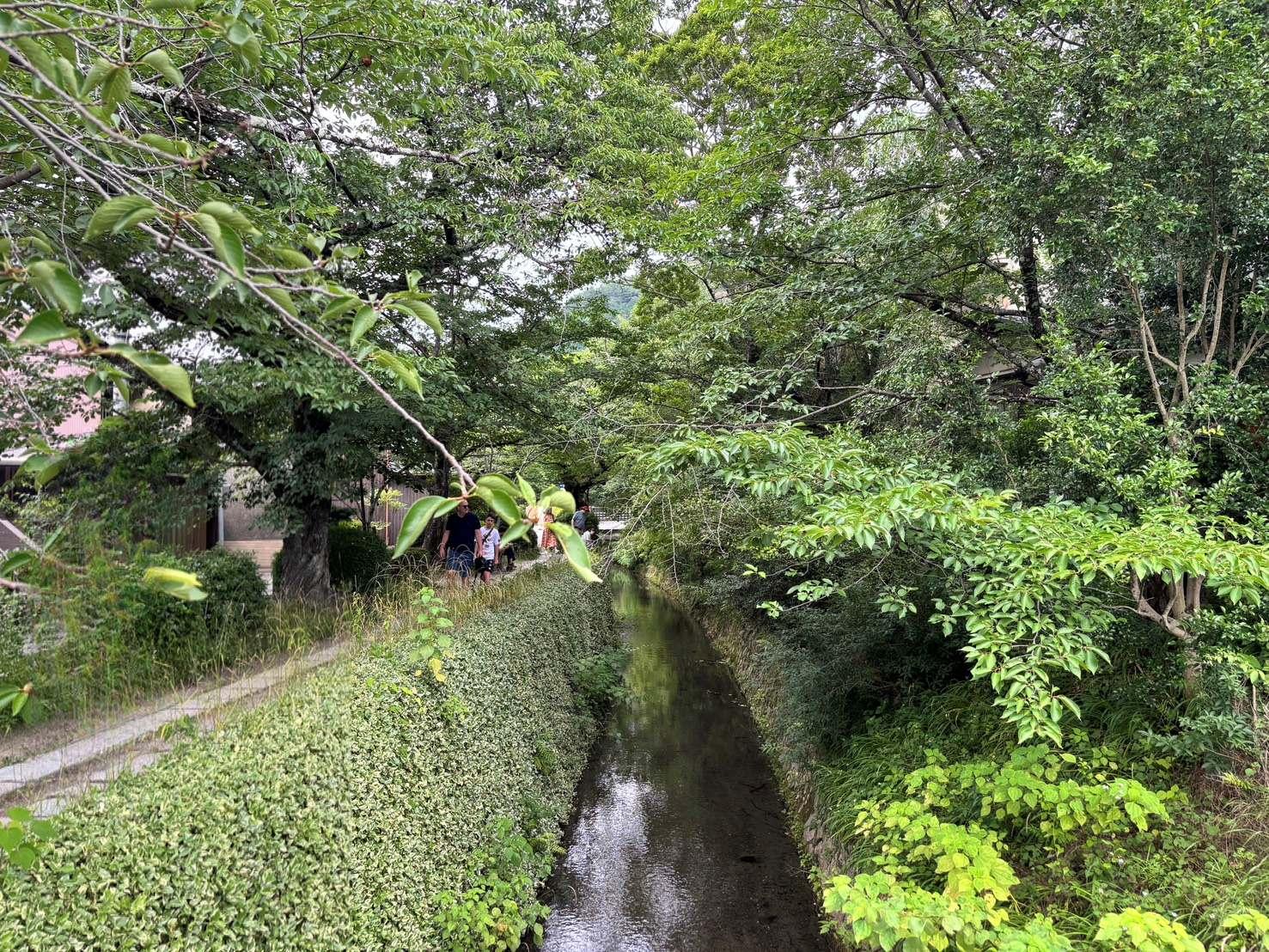 京都市左京区鹿ケ谷法然院西町66-1の売買物件/哲学の道へ徒歩30秒、この道が日常になるという豊かさ。