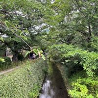京都市左京区鹿ケ谷法然院西町66-1の売買物件/哲学の道へ徒歩30秒、この道が日常になるという豊かさ。