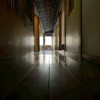 京都市上京区浄福寺通上立売上る大黒町711番地の賃貸物件/2F｜艶のある壁と床に光が映る、長い廊下。何度見てもとにかく綺麗。