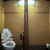 京都市上京区浄福寺通上立売上る大黒町711番地の賃貸物件/1F｜木の内装に包まれたトイレ。この辺りは更新したいところ。