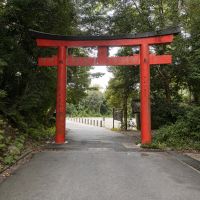 京都市左京区吉田中大路町34-109、他の売買物件/吉田山周辺を歩くと、あちらこちらで鳥居に出会います。