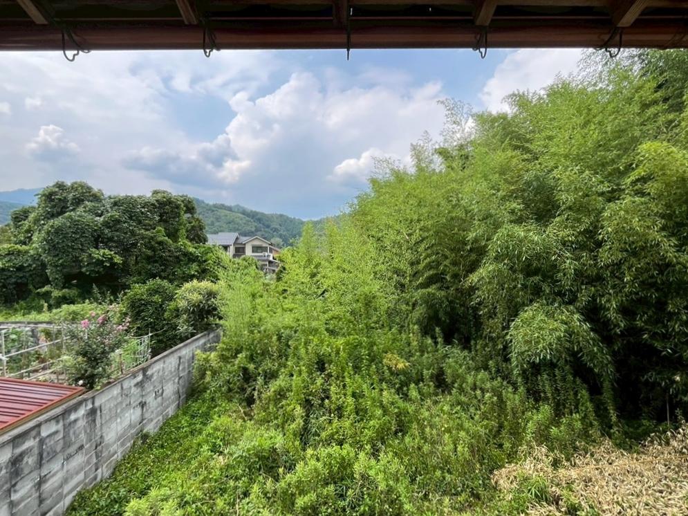 京都市右京区嵯峨二尊院門前善光寺山町7-23の売買物件/北方面。北側隣地は竹藪。その向こうには住宅がチラッと見え、最後に山。長閑。