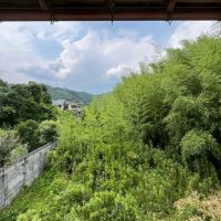 京都市右京区嵯峨二尊院門前善光寺山町7-23の売買物件/北方面。北側隣地は竹藪。その向こうには住宅がチラッと見え、最後に山。長閑。