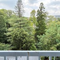 京都市左京区北白川西蔦町29の賃貸物件/屋上に出ると京都大学農学部の緑がすぐ目の前に広がります