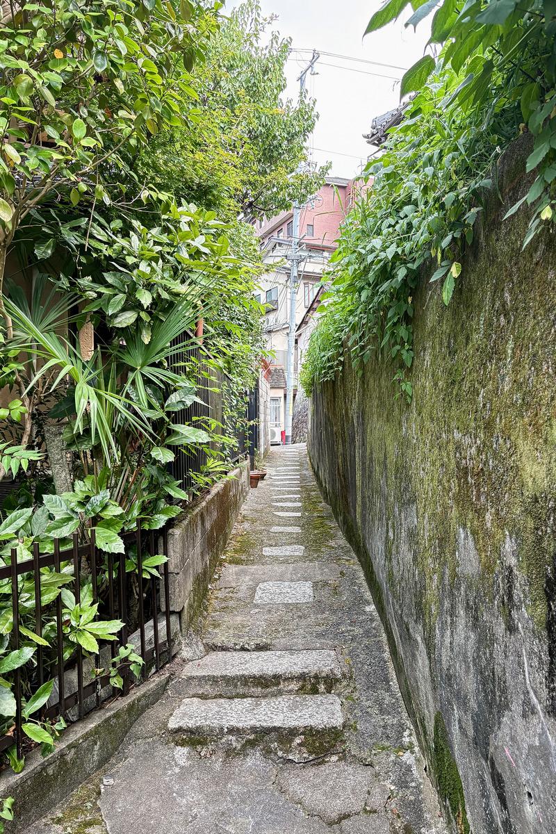 京都市東山区瓦役町514-1の賃貸物件/両側からグリーンが迫る細道。毎日ここを通る日々にロマンを感じます

