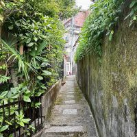 京都市東山区瓦役町514-1の賃貸物件/両側からグリーンが迫る細道。毎日ここを通る日々にロマンを感じます
