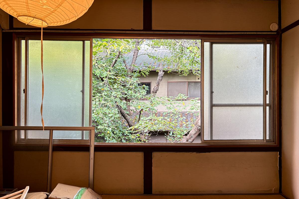 京都市東山区瓦役町514-1の賃貸物件/北側もご近所さんの庭の緑が顔を覗かせます