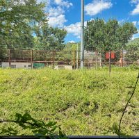 京都市北区衣笠氷室町6-12の賃貸物件/草むらの向こうは小学校の第二運動場。どうやら常日頃使用されているわけではなさそう。この土手は年に1回、行政にて草刈りが行われる。