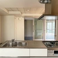 京都市下京区新町通五条下ル蛭子町107-3の賃貸物件/吊り戸がないのでスカッとしてます（写真は501）