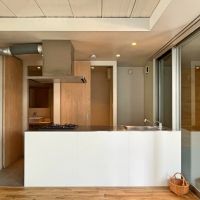 京都市下京区新町通五条下ル蛭子町107-3の賃貸物件/キッチン背面にはパントリーがある点はかなり嬉しいポイント（写真は302）