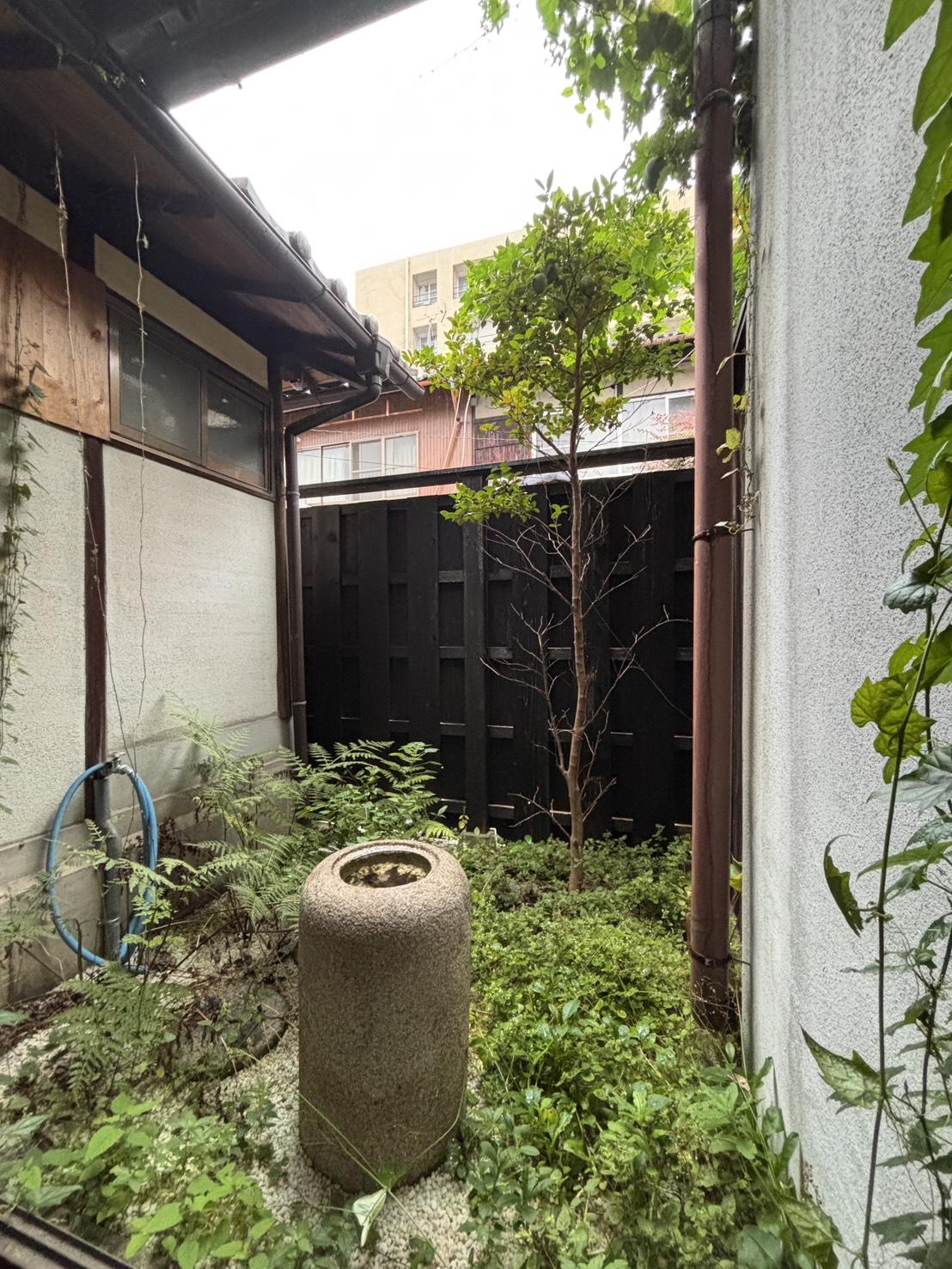 京都市上京区油小路通一条上る二丁目革堂西町530 の賃貸物件/1階｜石鉢を据えた坪庭。表側の庭がこちら。