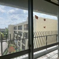 京都市左京区聖護院蓮華蔵町46の売買物件/手摺りの影が良い