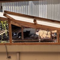 京都市左京区北白川久保田町60の賃貸物件/よーく見ると、お風呂の屋根の上で2匹の猫がくつろぎ中でした。