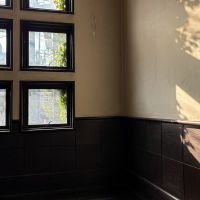 京都市中京区麩屋町通六角下る坂井町470の賃貸物件/踊り場の窓の様子。陰になって伸びるツタが印象的