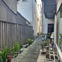 京都市上京区御前通仁和寺街道下る三筋目東入る西上之町278-5の賃貸物件/玄関から見る通路。前道に面したお宅はオーナーの親族がお住まい。朝夕の挨拶があると気分も良くなりそう。