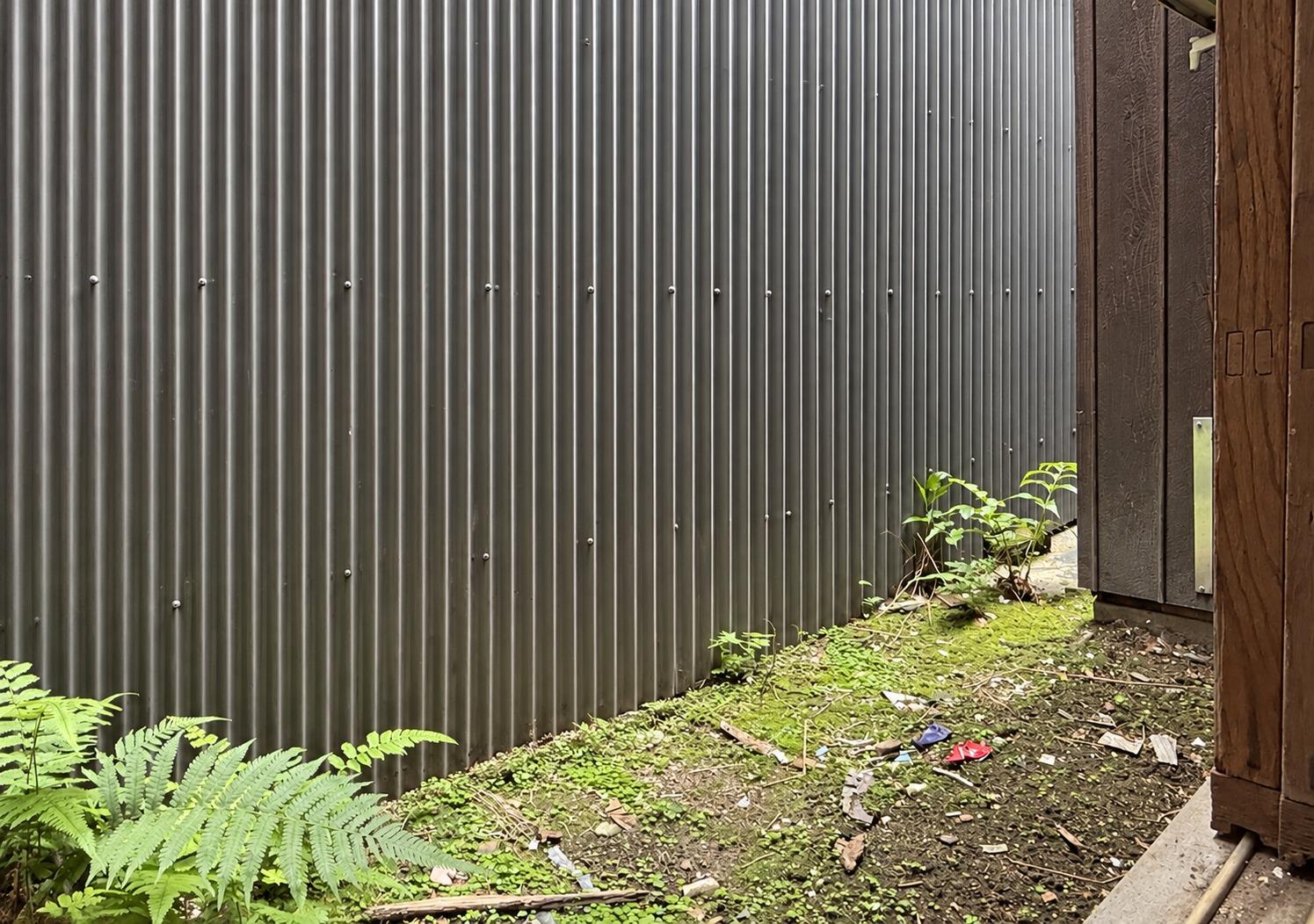 京都市北区紫野下門前町52-1の賃貸物件/1F｜建物の奥にある小さな坪庭。シダが元気に育っていました。
