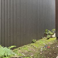 京都市北区紫野下門前町52-1の賃貸物件/1F｜建物の奥にある小さな坪庭。シダが元気に育っていました。