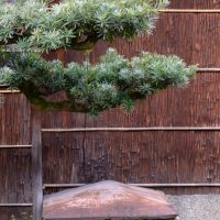 京都市中京区松竹町130-1の賃貸物件