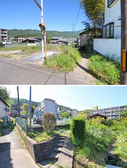 京都府京都市左京区岩倉上蔵町の賃貸物件/上：右側の通路を行けば下の写真に繋がり、右側の野花の間を進みます