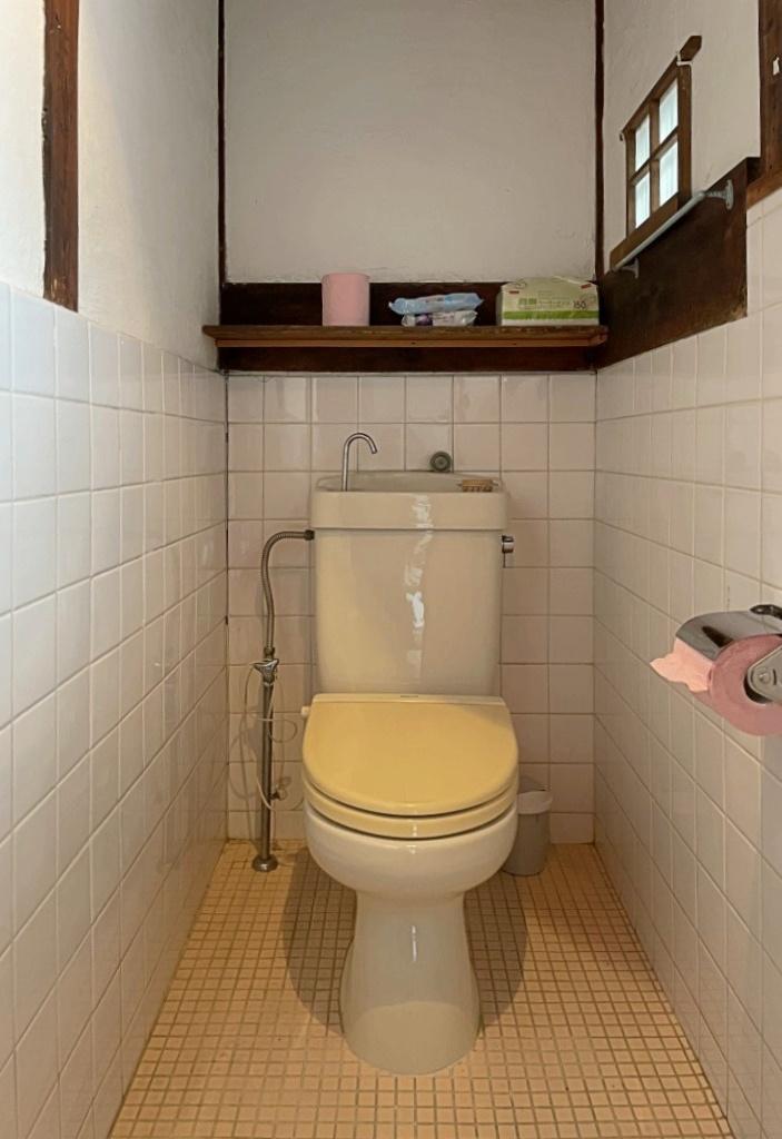 堺市堺区南島町2丁目の賃貸物件/トイレは普通便座、綺麗に使われています