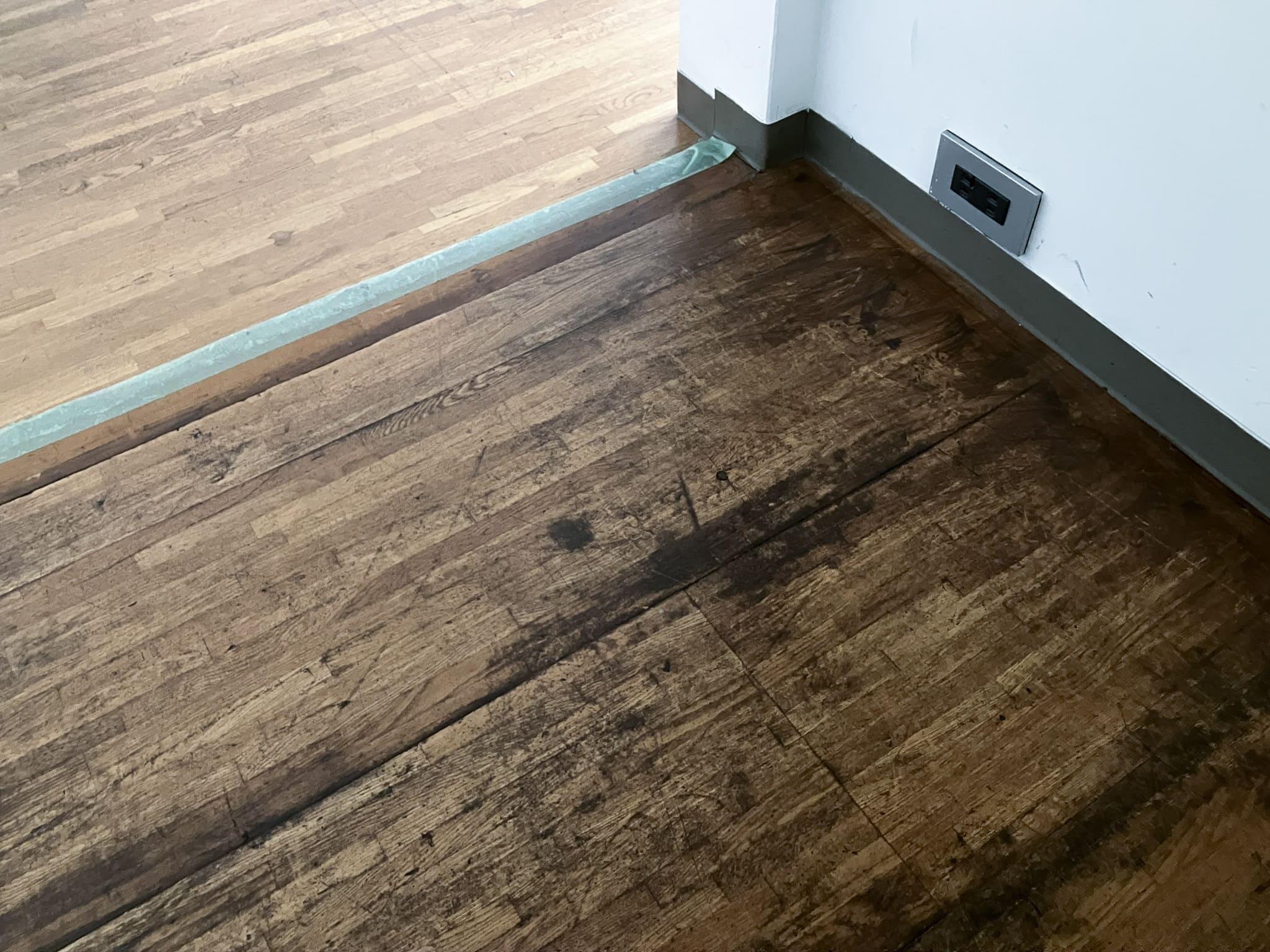 大阪市中央区伏見町２丁目の賃貸物件/床材がいい色になっています。