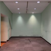 大阪市中央区伏見町２丁目の賃貸物件/グリーンのクロスが印象的な空間。張り替えの相談可能です。