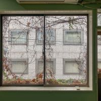 大阪市中央区伏見町２丁目の賃貸物件/こちらもつたが絡まっています。