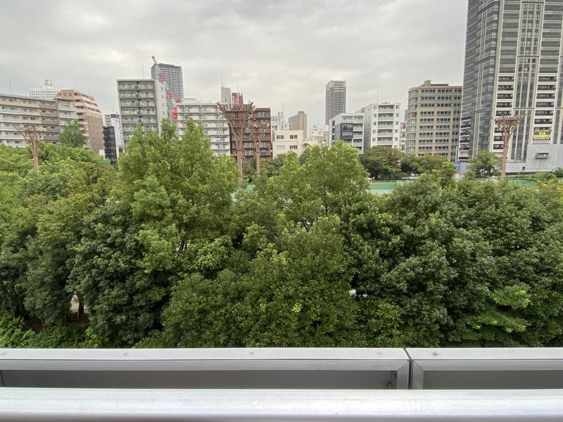 大阪市西区靱本町2丁目の賃貸物件/道路を挟んですぐ靱公園。このくらいの高さがちょうどいいかも知れません。