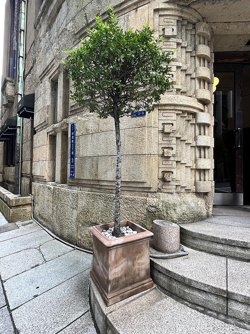 大阪市中央区伏見町３丁目の賃貸物件/看板はこの植木に。デザインの方向性の制御が行き届いています。