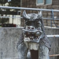 沖縄県那覇市首里崎山町4丁目の売買物件/これは・・シーサーなの？うんきっとそう。