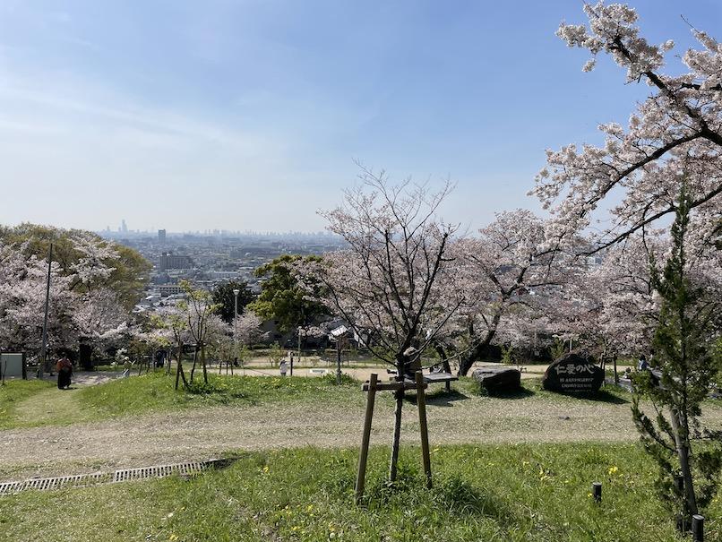 東大阪市五条町９の売買物件/近所には「枚岡梅林公園」。春は満開の桜と眺望が絶景の「お花見の穴場スポット」。