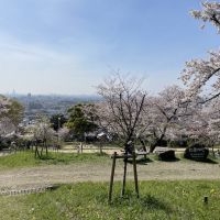 東大阪市五条町９の売買物件/近所には「枚岡梅林公園」。春は満開の桜と眺望が絶景の「お花見の穴場スポット」。