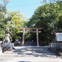 東大阪市五条町９の売買物件/枚岡駅下車すぐのところにある「枚岡神社」。枚岡にはハイキングコースも多数ある。