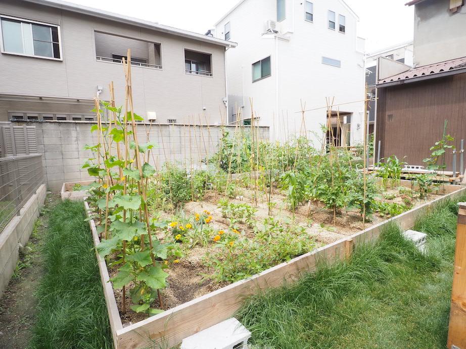 大阪市住吉区上住吉１丁目の賃貸物件/緑がいっぱいに広がる農園。土のにおいがする農園を通り抜けた先に物件があります。