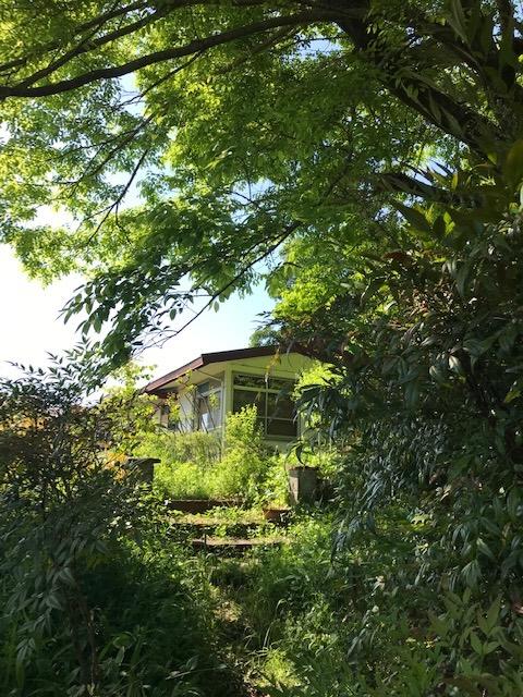 枚方市杉山手1-3-10の賃貸物件/小高い丘の上に建つ平屋、ワクワクする物件です。