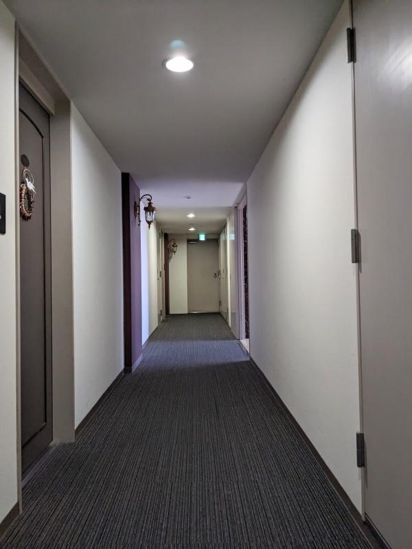 大阪府大阪市淀川区十三東１丁目の賃貸物件/ホテルライクな廊下