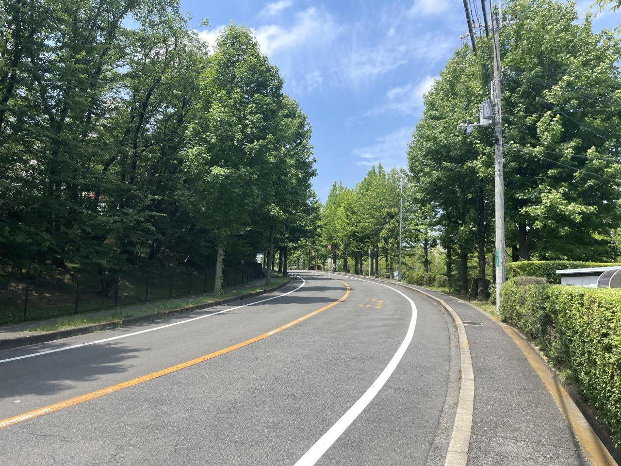 堺市南区原山台1丁2-1の売買物件/前面道路。ゆとりある遊歩道は散歩道に丁度良い