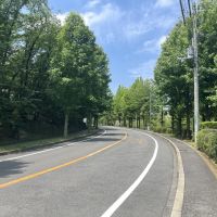 堺市南区原山台1丁2-1の売買物件/前面道路。ゆとりある遊歩道は散歩道に丁度良い