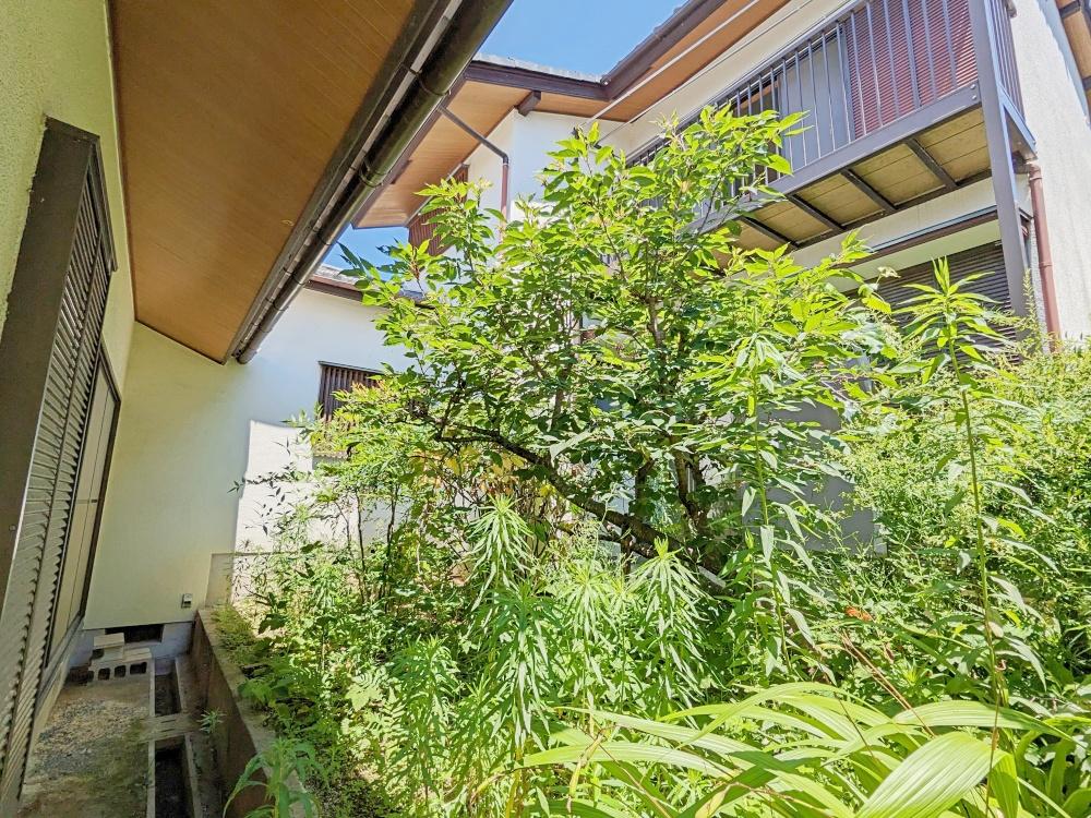 堺市南区槇塚台2丁目の売買物件/光と緑を享受する中庭。庭づくりにも胸が膨らみます。