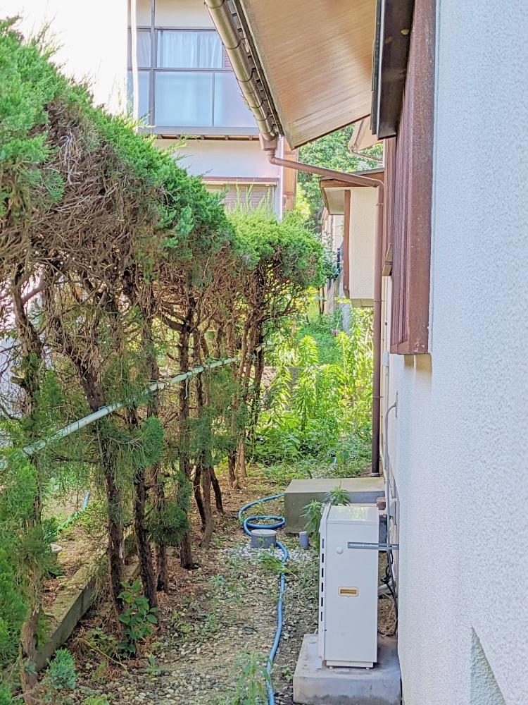 堺市南区槇塚台2丁目の売買物件/西側隣地との目隠しを兼ねる植栽。