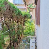 堺市南区槇塚台2丁目の売買物件/西側隣地との目隠しを兼ねる植栽。