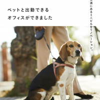 大阪市北区天満３丁目４&minus;１１の賃貸物件/意外となかったペット可オフィス