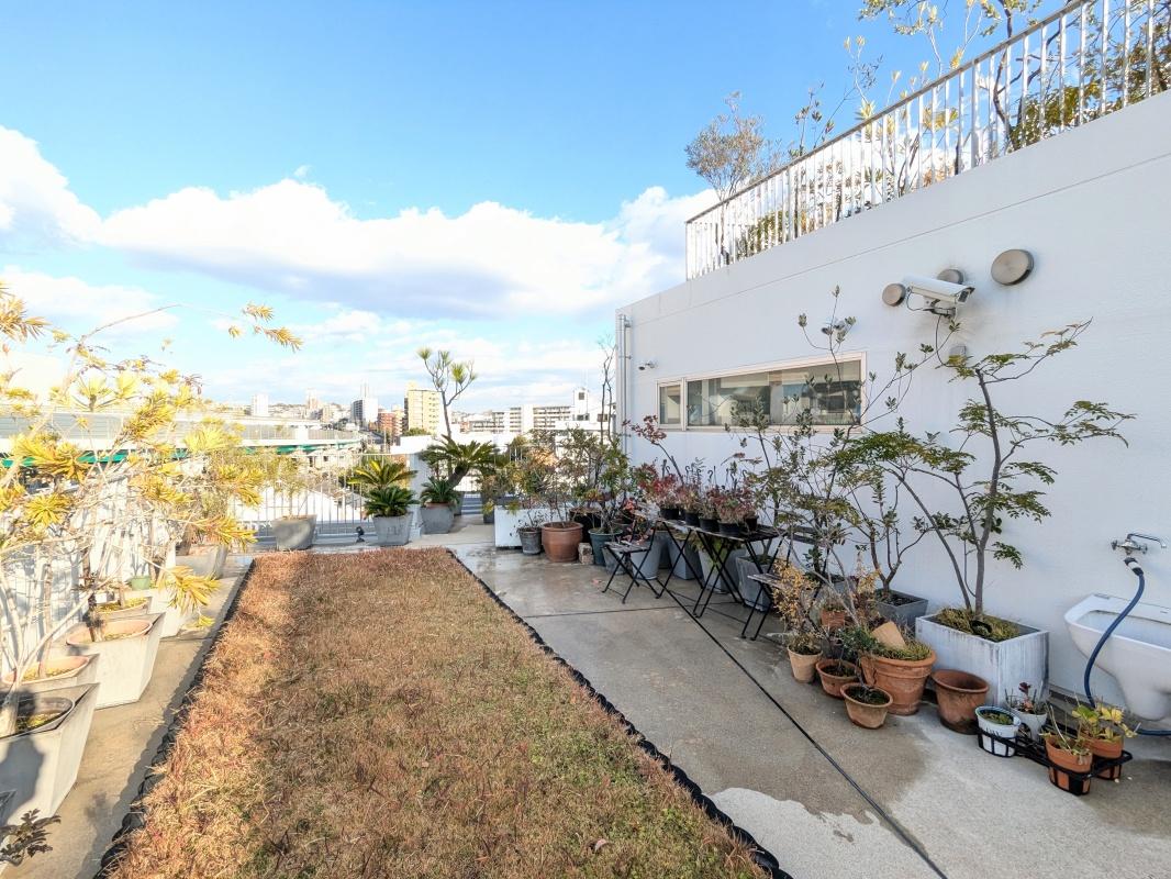 大阪府豊中市桜の町の賃貸物件/屋上までの通路にも植栽が並んでいます。